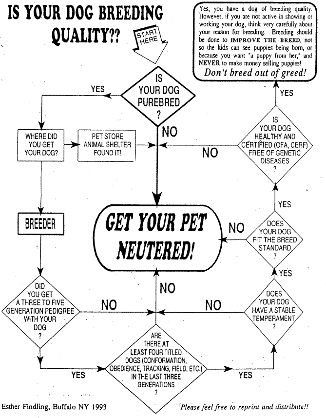 Is your dog breeding quality?