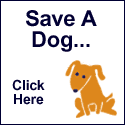 Click Here - Save a Dog...