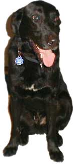 I'm Jonah! I was adopted!
