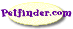 Petfinder.com