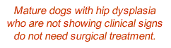 Mature dogs with hip dysplasia who are not showing clinical signs so not need surgical treatment.
