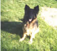 Duke