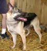 Kiah