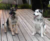 Kiah and Nanuq