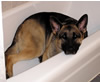 Bathtime