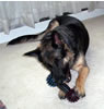 Zoe