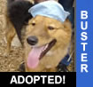 Buster