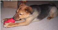Buster