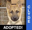 Clyde