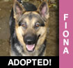 Fiona
