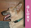 Glory