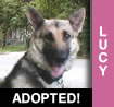 Mama Lucy