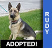Rudy