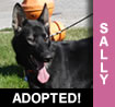Sally
