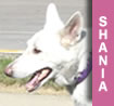 Shania