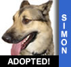 Simon
