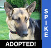 Spike