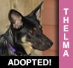 Thelma