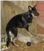 Thelma