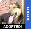 Zack