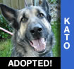 Kato