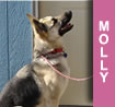 Molly