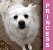 Lil Princess