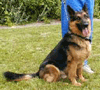 Duke