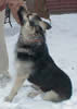 Malachi