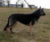 Zoe