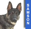 Samson