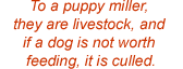 To a puppy miller, they are livestock, and if a dog is not worth feeding, it is culled.