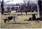 Nakita & Kobi