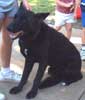 Duke