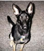 Gretchen