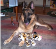 Humphrey