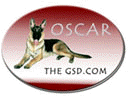 Oscar the GSD