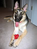 Romeo